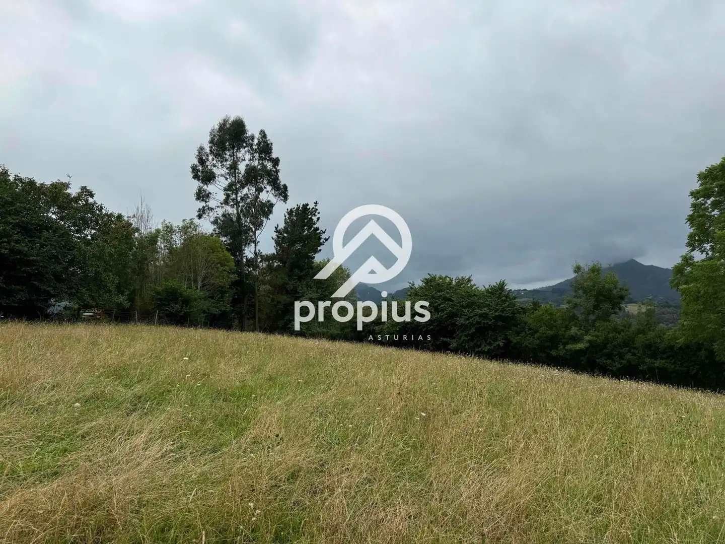 Rural land for sale in Arenas, imagen 13