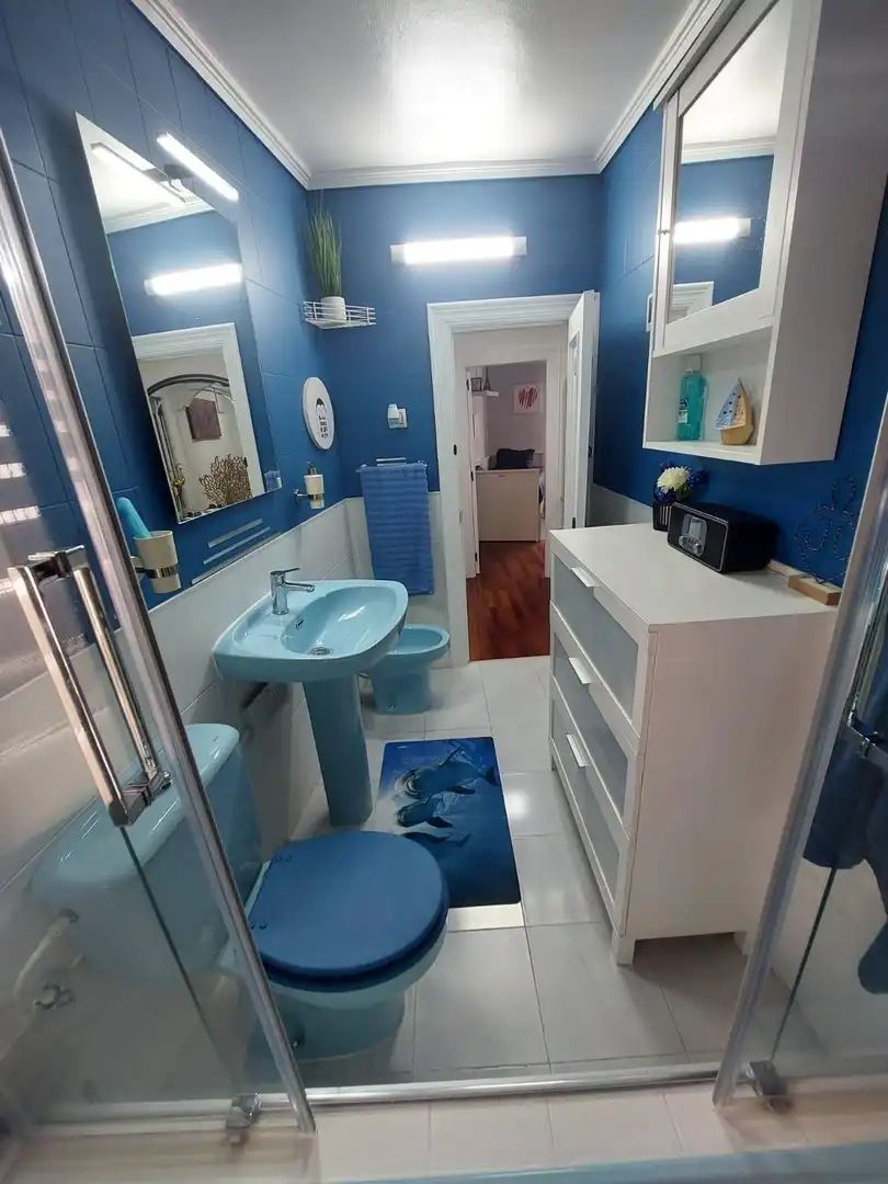 Flat with lift for sale in Calle Calle Brasil, imagen 28