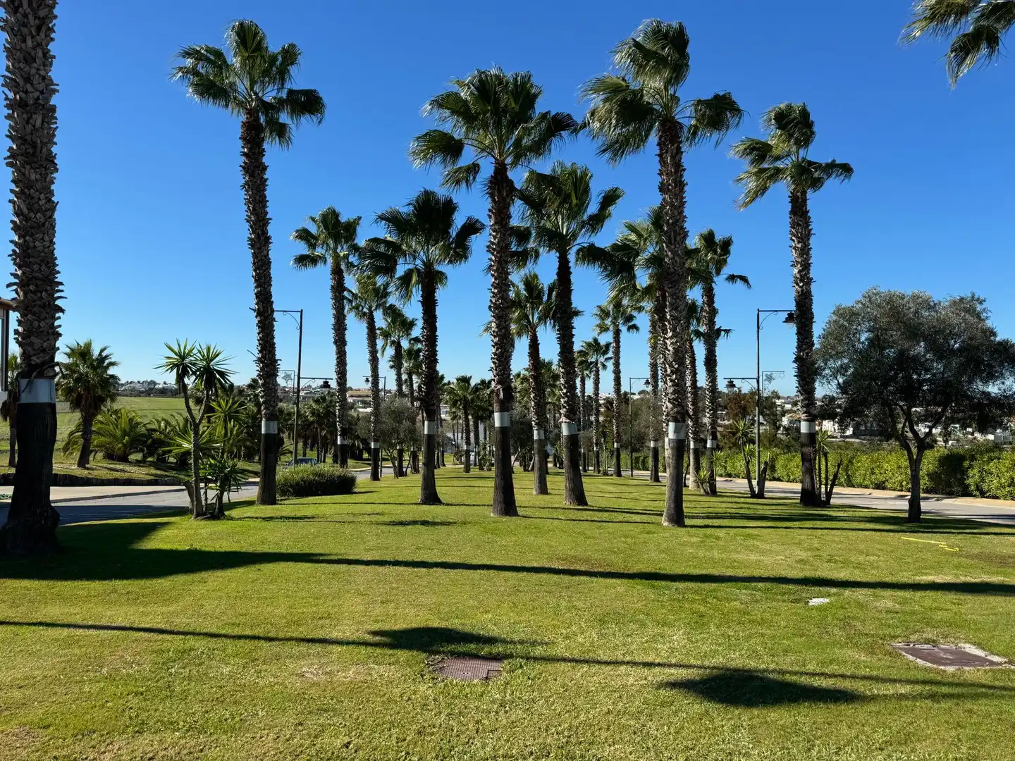 Vista exterior de Piso en venta en Sanlúcar de Barrameda con Aire acondicionado, Calefacción y Jardín privado