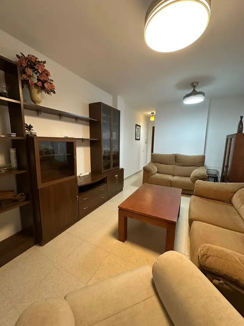 Living room of Detached homes for rent in Algeciras  with Furnished