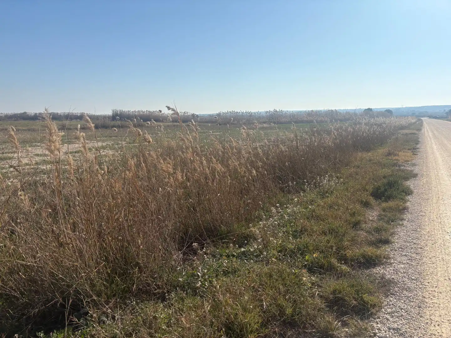 Terrain rustique à vendre à La Foia - Daimés - Asprella, imagen 23