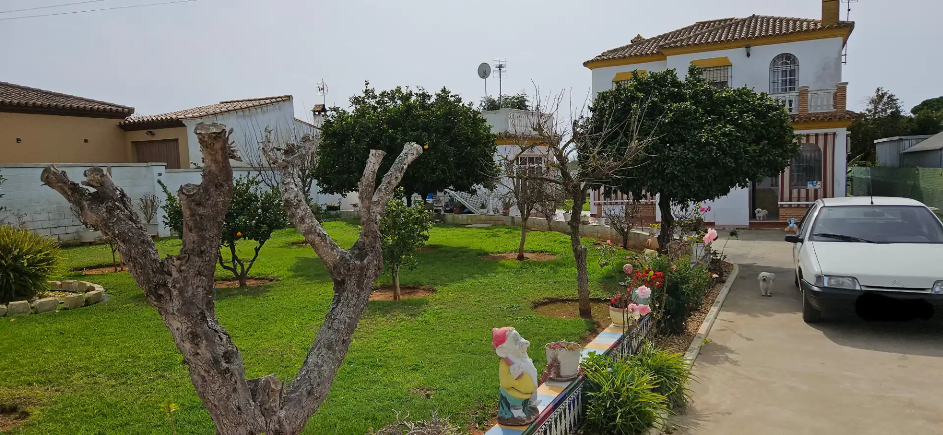 Jardí de Casa o xalet en venda en Chiclana de la Frontera amb Aire condicionat, Calefacció i Jardí privat