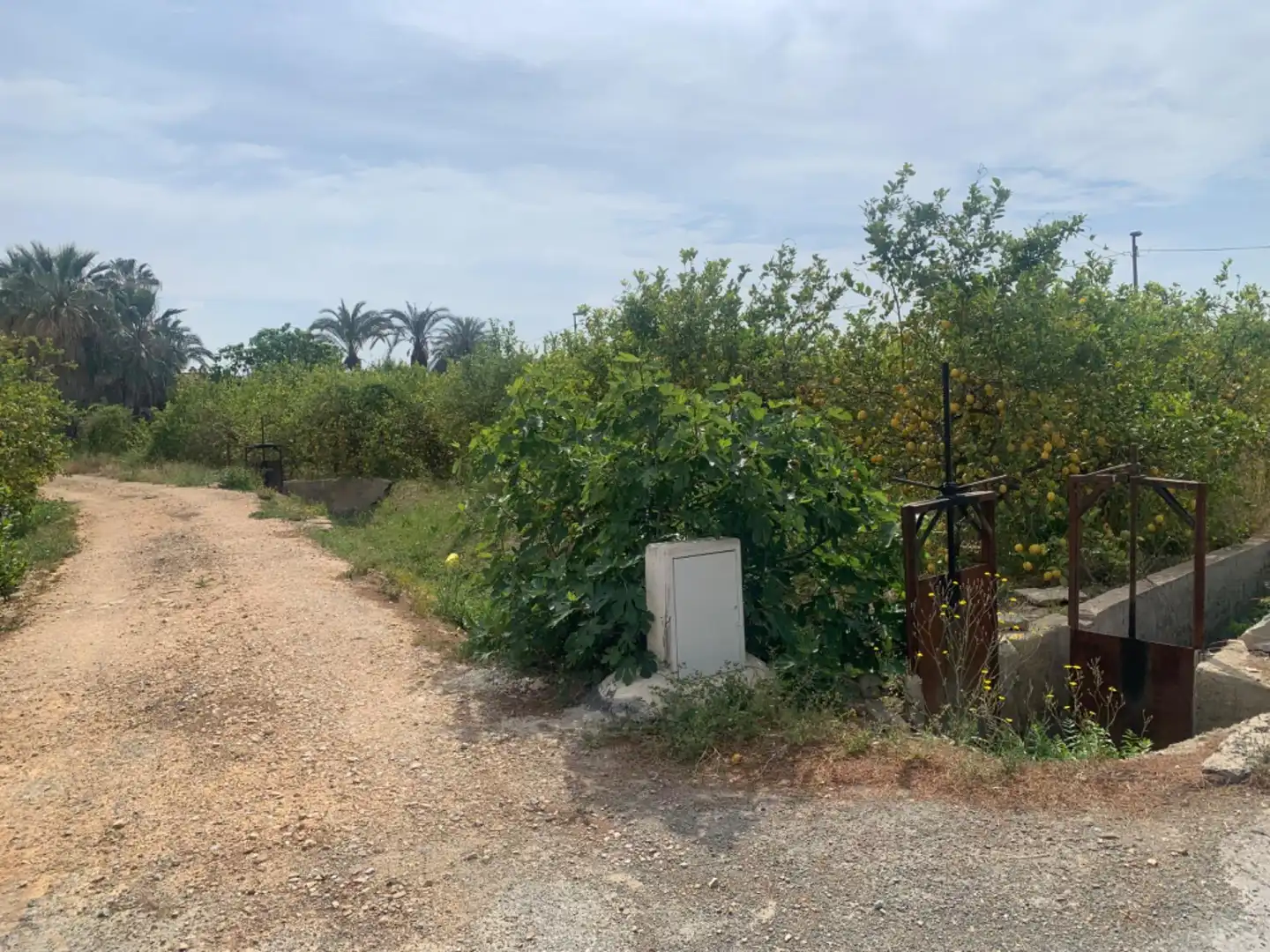 Terrenys i solars en venda a Pedanías Este, imagen 6