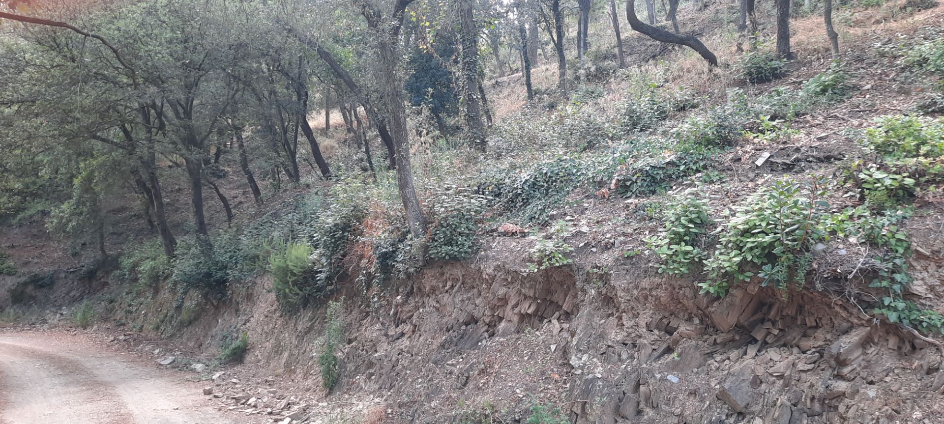 Land for sale in Sant Cugat del Vallès