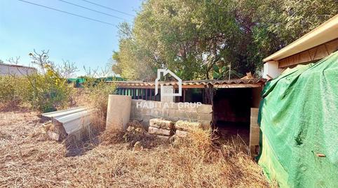 Photo 4 of Land for sale in Ciutadella, Illes Balears