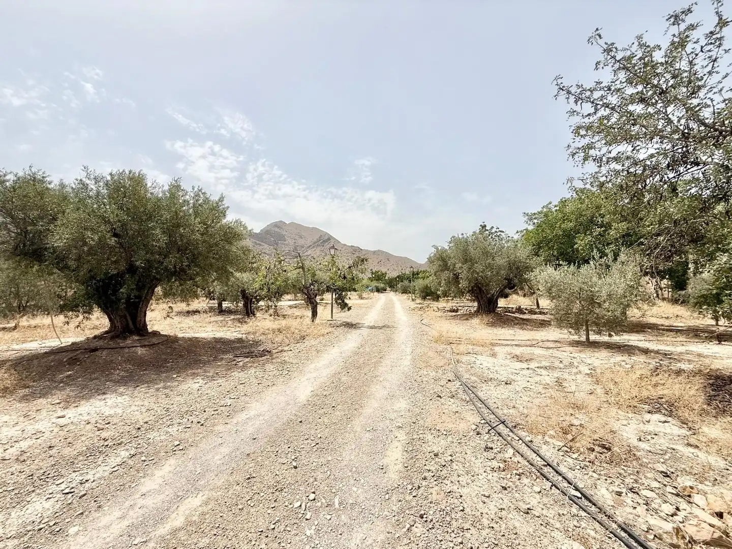 Lands and plots for sale in Cox, imagen 16