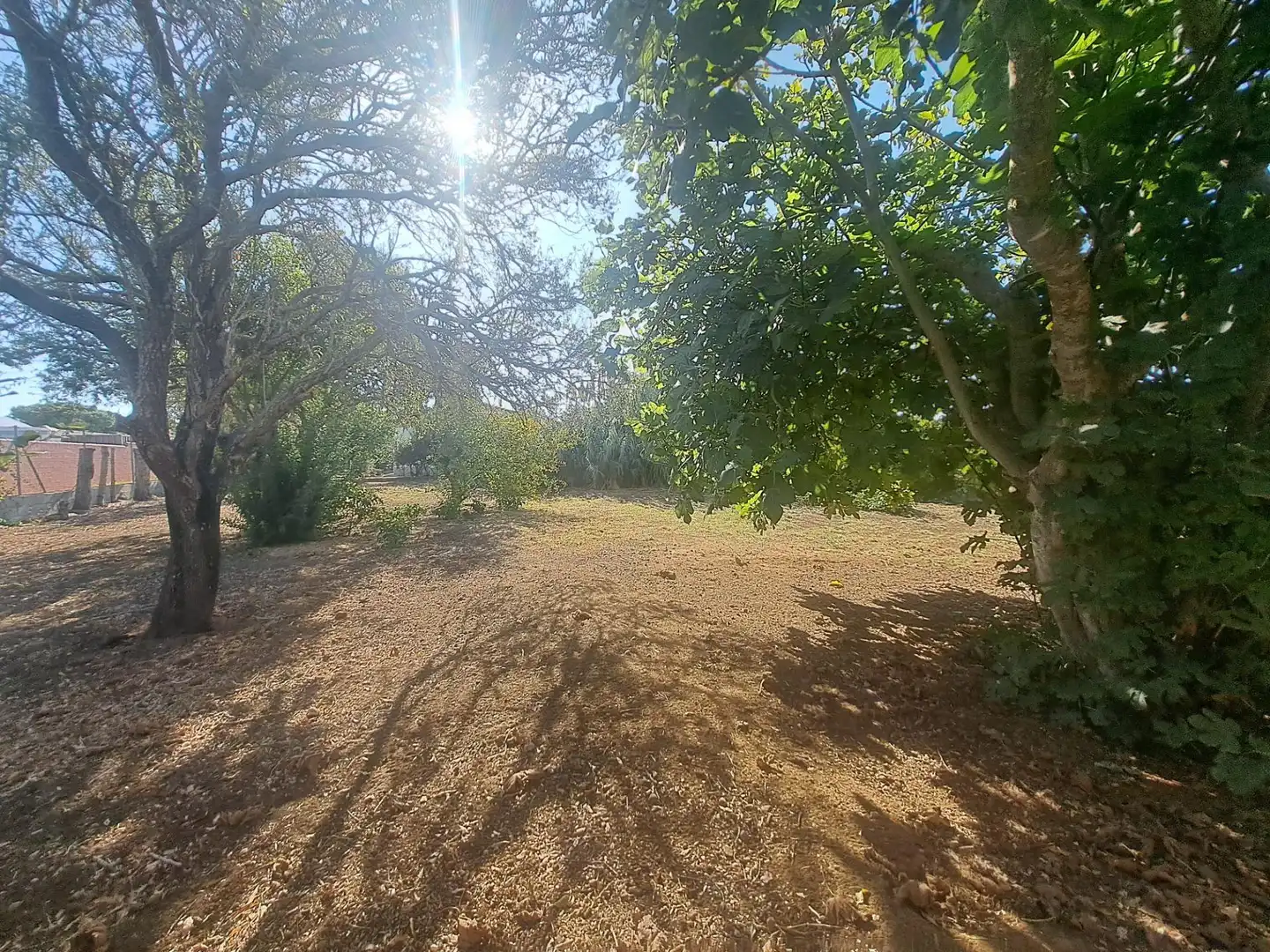 Chalet en venta en Los Franceses – La Vega, imagen 23