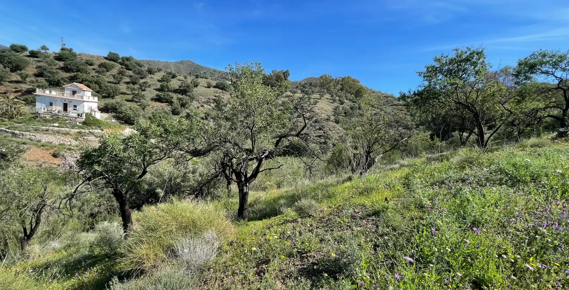 Vista exterior de Finca rústica en venta en Málaga con Terraza