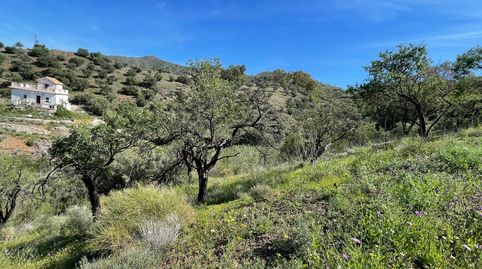 Foto 5 de Finca rústica en venta en Camino Barcenilla Alta, Olías, Málaga Capital