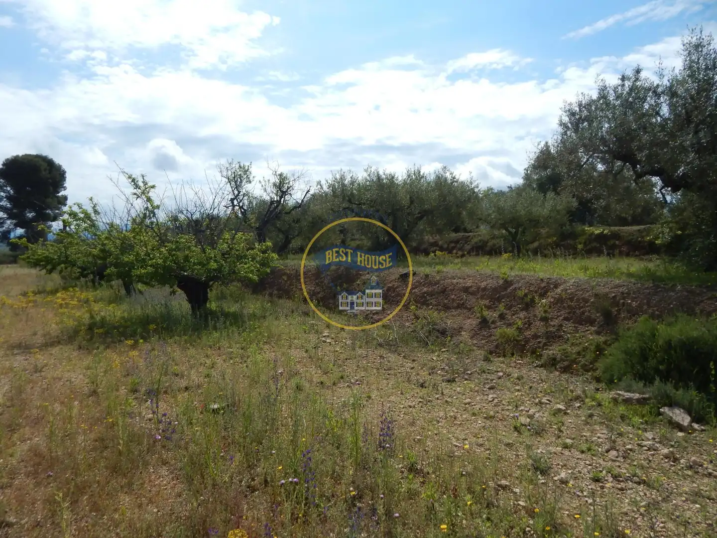 Terreno en venta en Bélgida