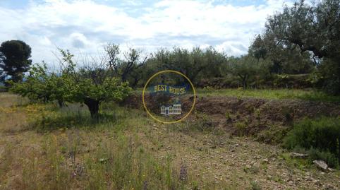 Foto 2 de Terreno en venta en Bélgida, Valencia