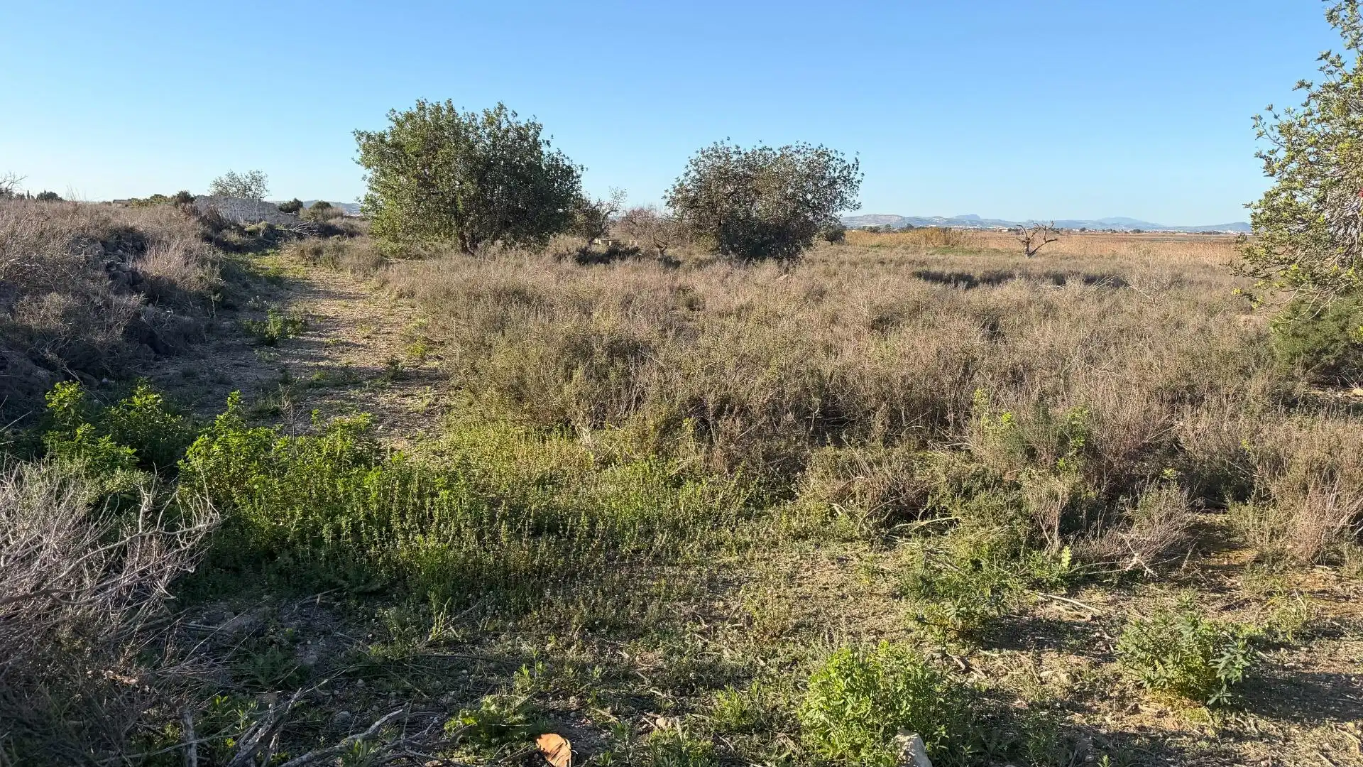 Terreno residencial en venta en La Marina, imagen 48
