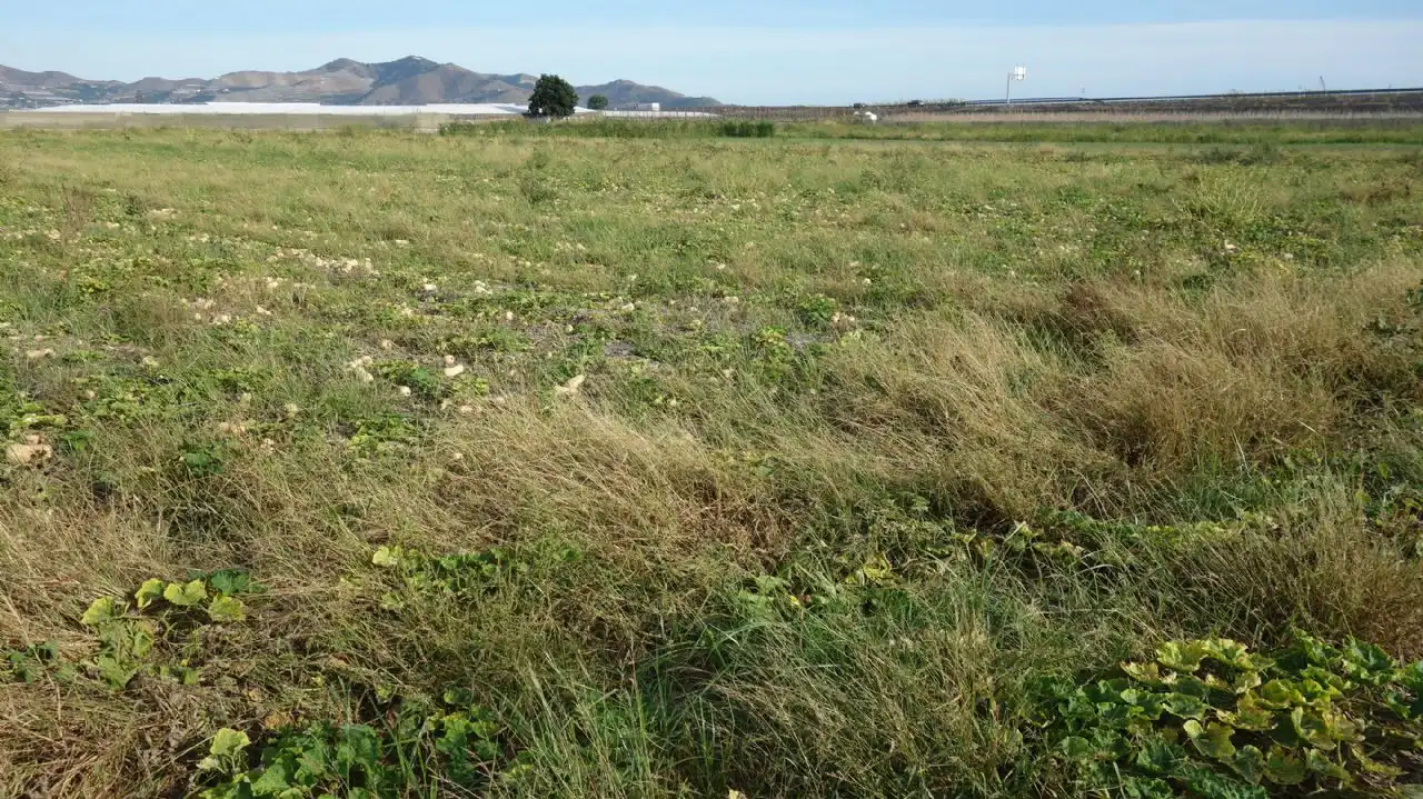 Rural land for sale in Motril  ciudad