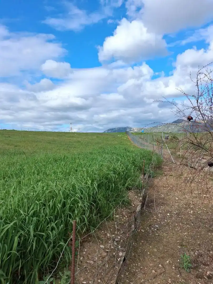 Planta baixa en venda en Orellana la Vieja