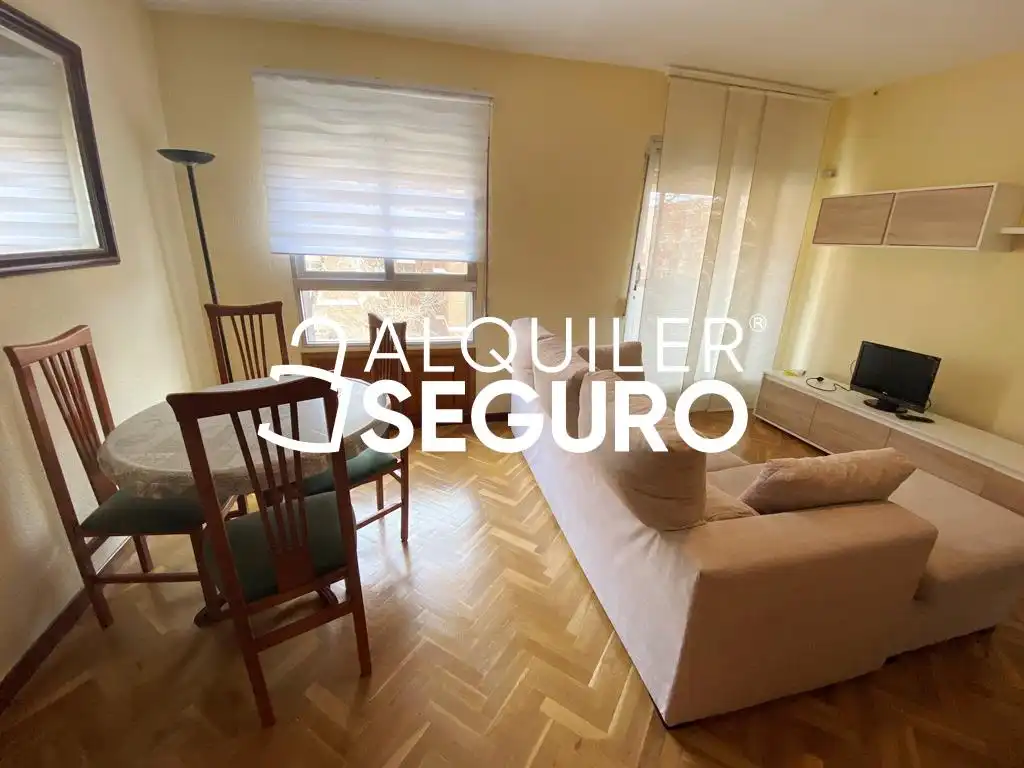 Living room of Flat for rent in Madrid  with Heating, Terrace and Furnished