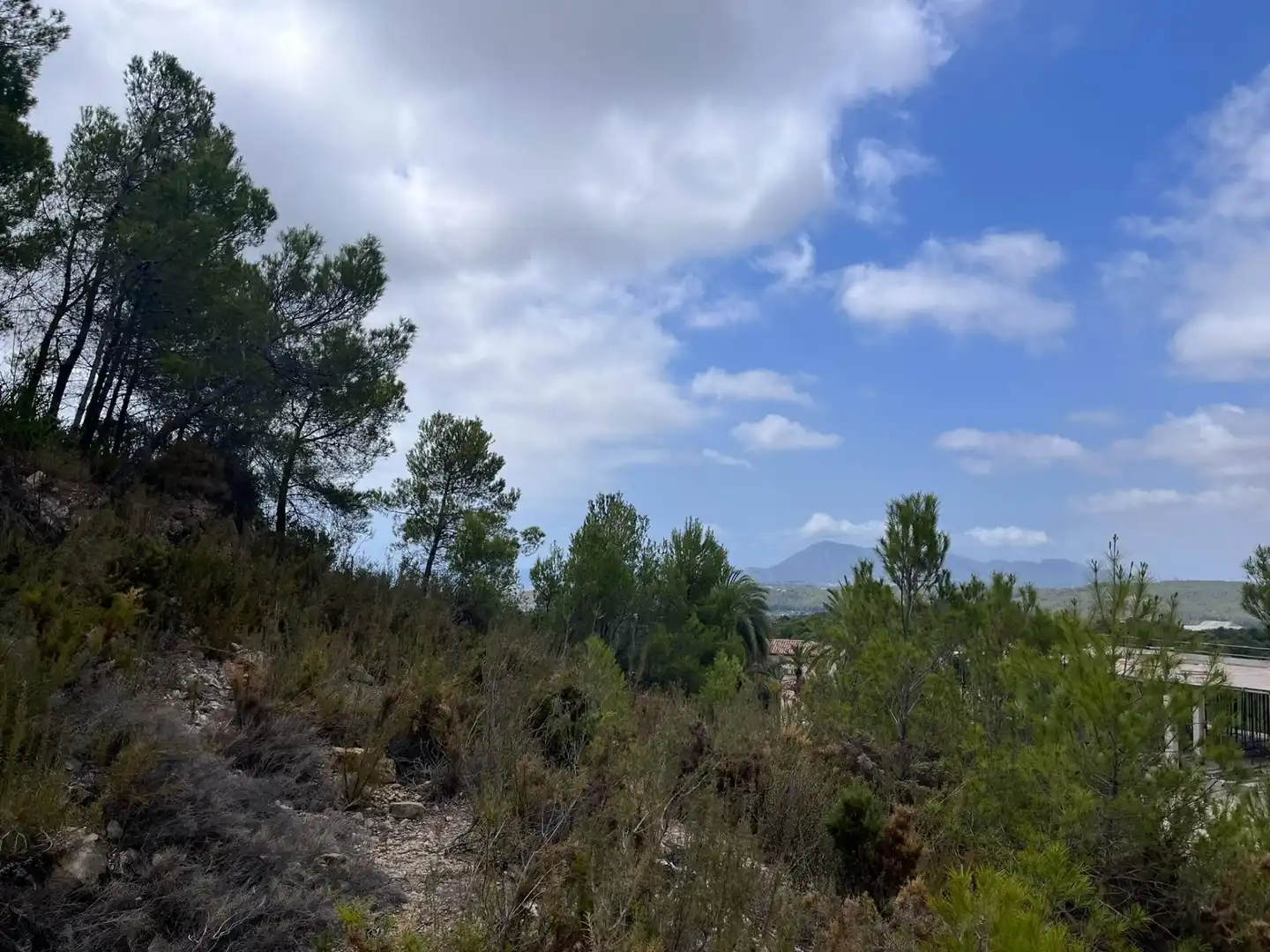 Terrenys i solars en venda a Callosa d'en Sarrià, imagen 4