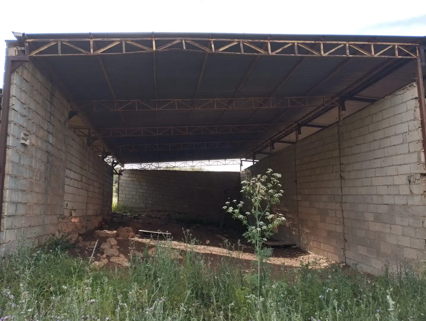 Terreno rustico in vendita a Calle Doña Mencía, imagen 15