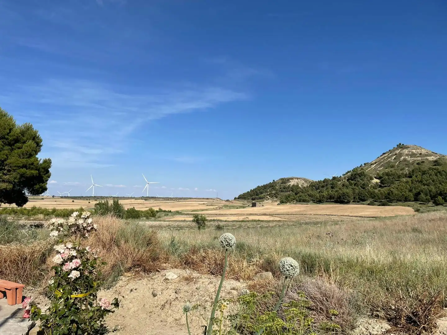 Casa o chalet en venta en Sierra de Luna con Trastero y Amueblado