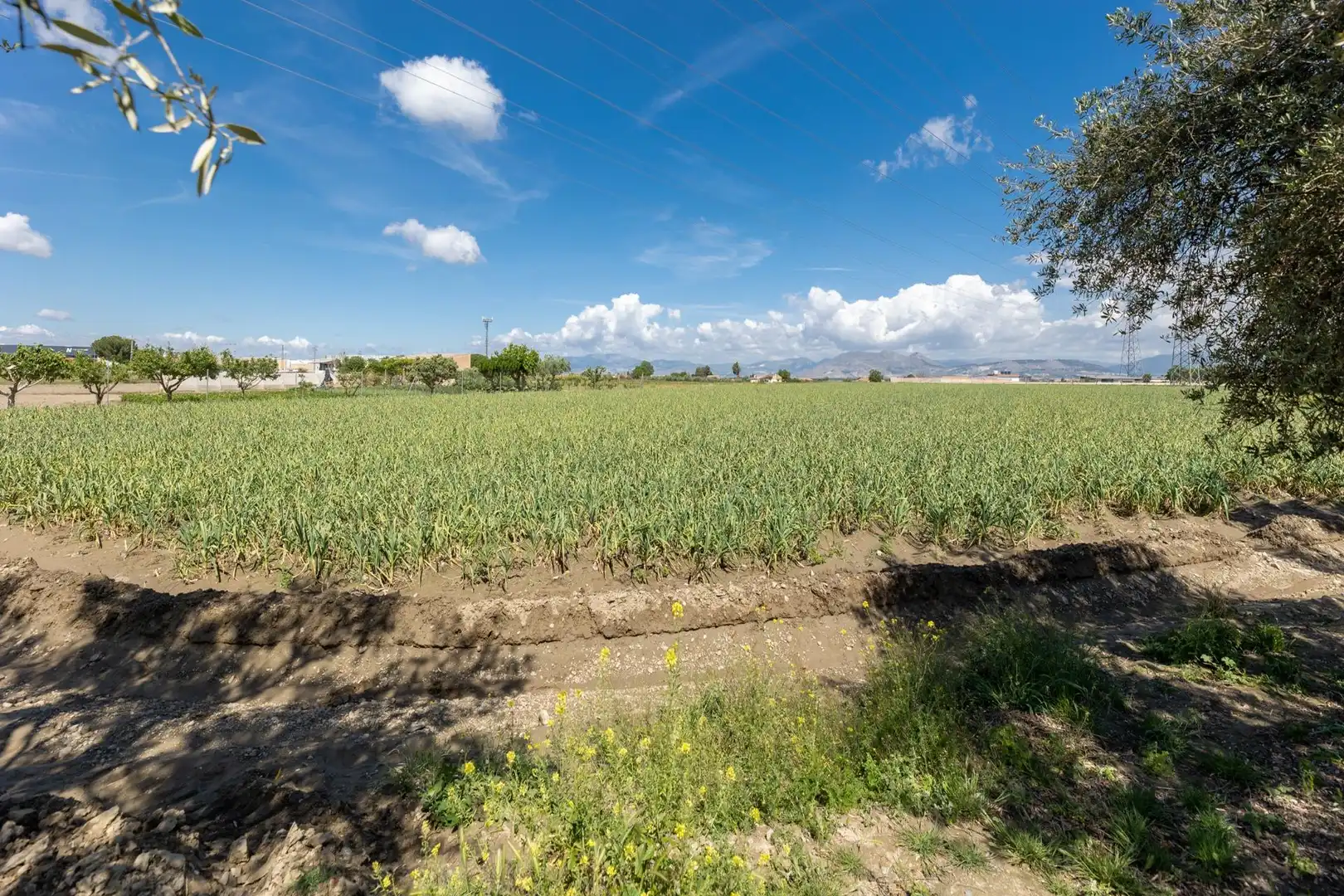 Terreni e lotti in vendita a Ramal del Río, imagen 18