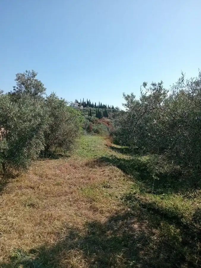 Terreni e lotti in vendita a Estacion de la Alqueria, imagen 17