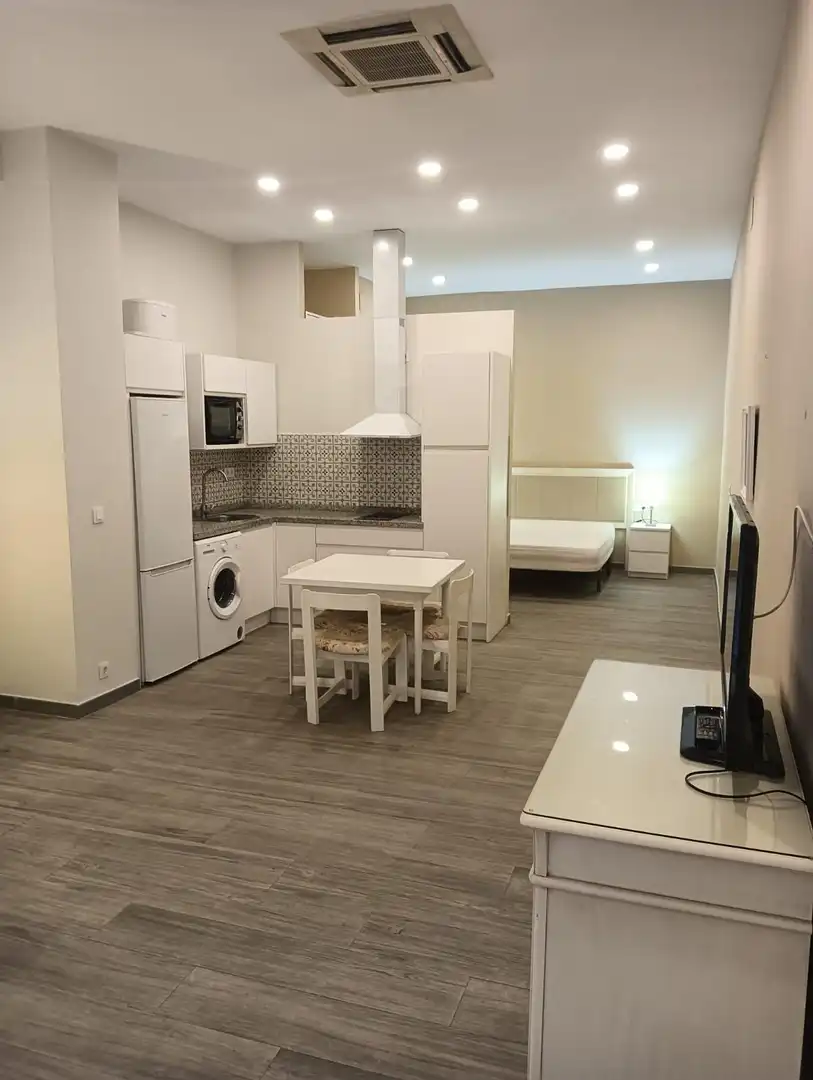 Cuina de Apartament de lloguer en Sevilla amb Aire condicionat i Moblat