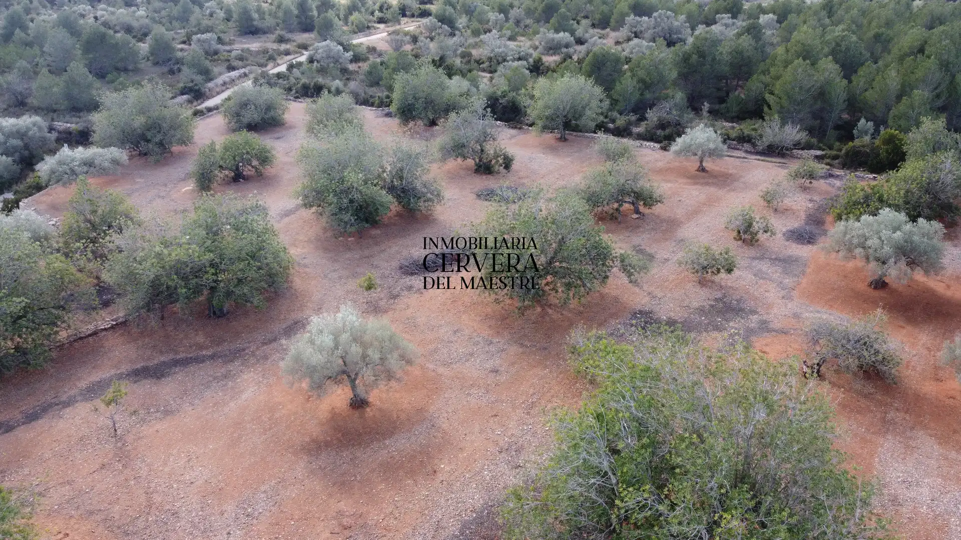 Terreno rustico in vendita a Partidas de interior - Zona Rústica, imagen 46