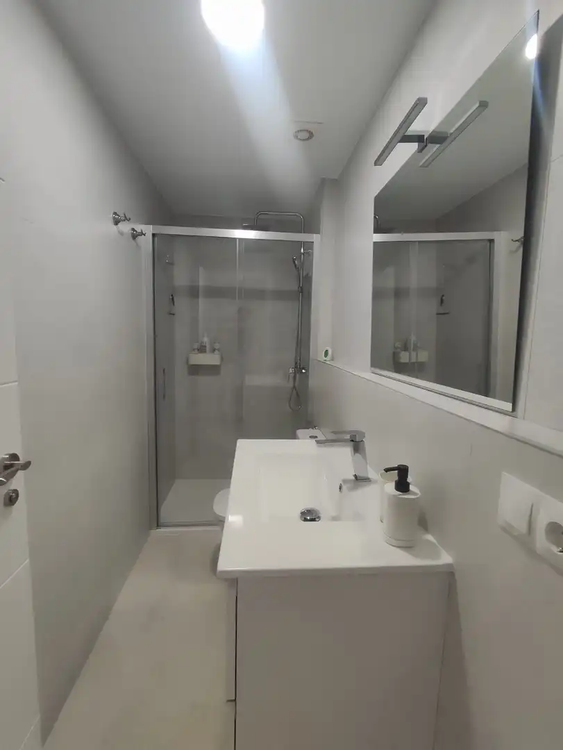 Wohnung mit Pool zum Verkauf in Calle Alberto Fernández 4, imagen 15