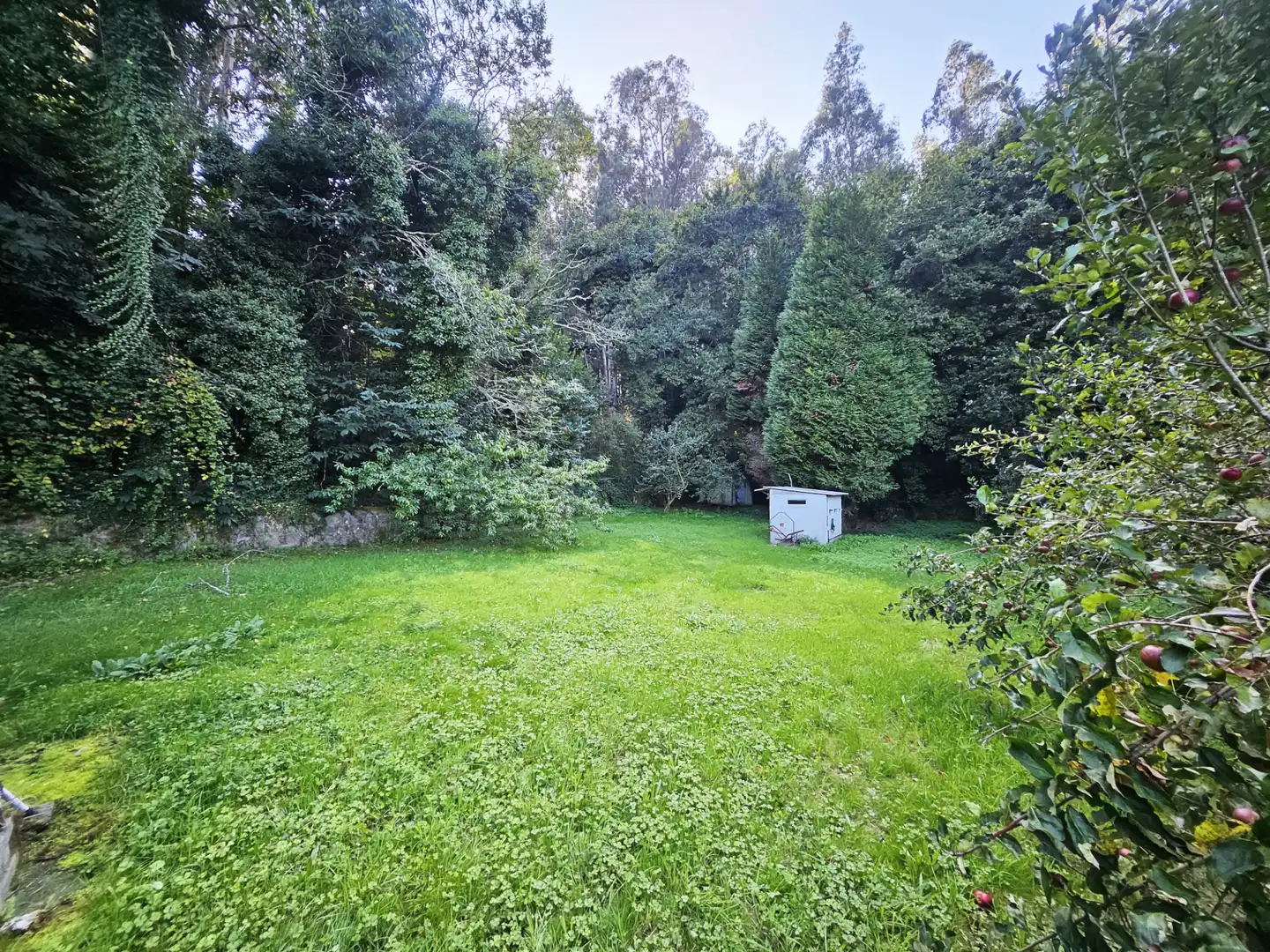 Casa o chalet en venta en Bergondo, A Coruña