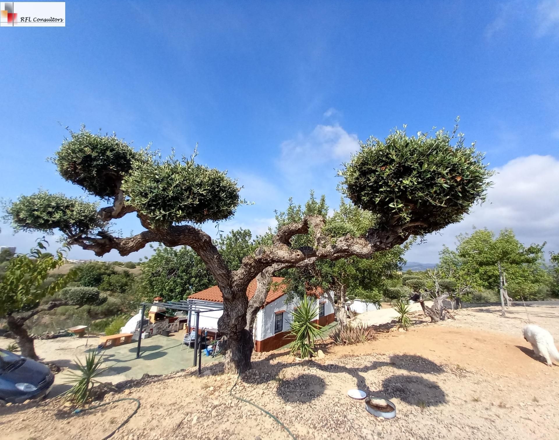 Vista exterior de Finca rústica en venda en L'Ampolla amb Aire condicionat, Calefacció i Jardí privat