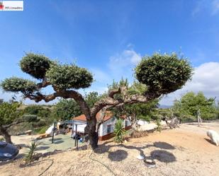 Vista exterior de Finca rústica en venda en L'Ampolla amb Aire condicionat, Terrassa i Piscina