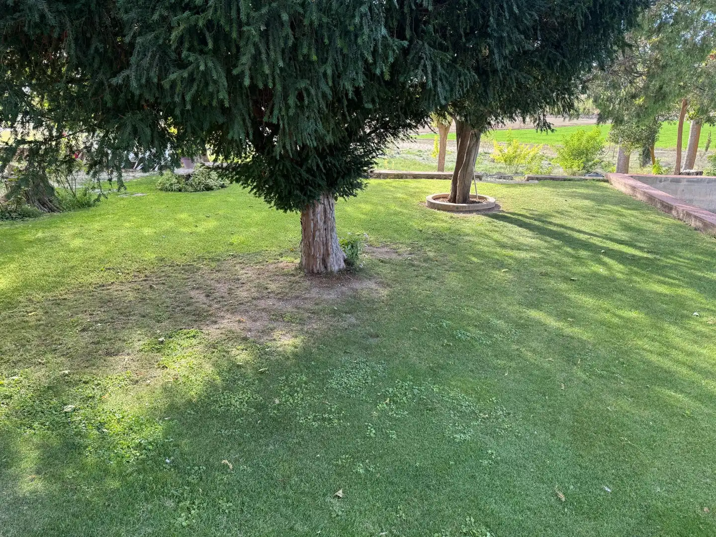 Finca rústica en venta en Huéscar