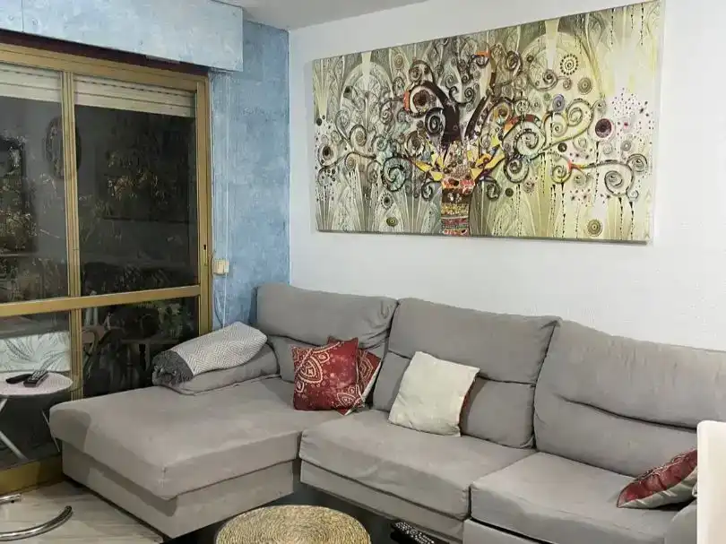 Sala de estar de Piso para compartir en Pla - Carolinas