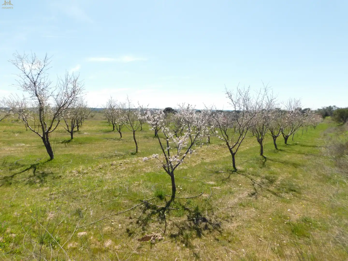 Terreno en venta en Villa del Prado