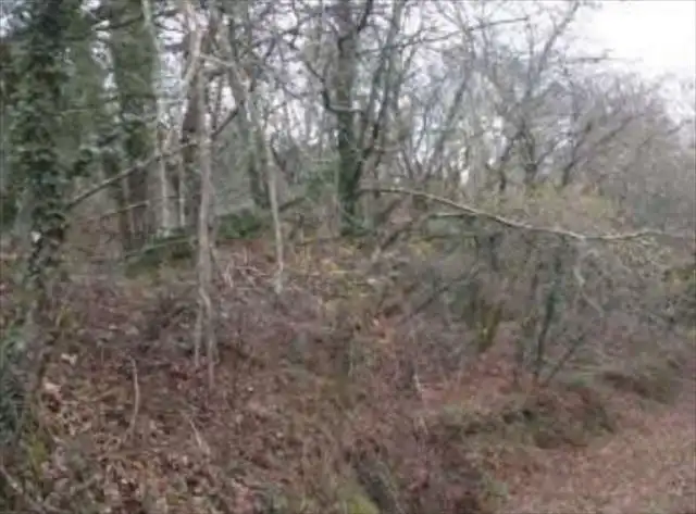 Land for sale in Salceda de Caselas