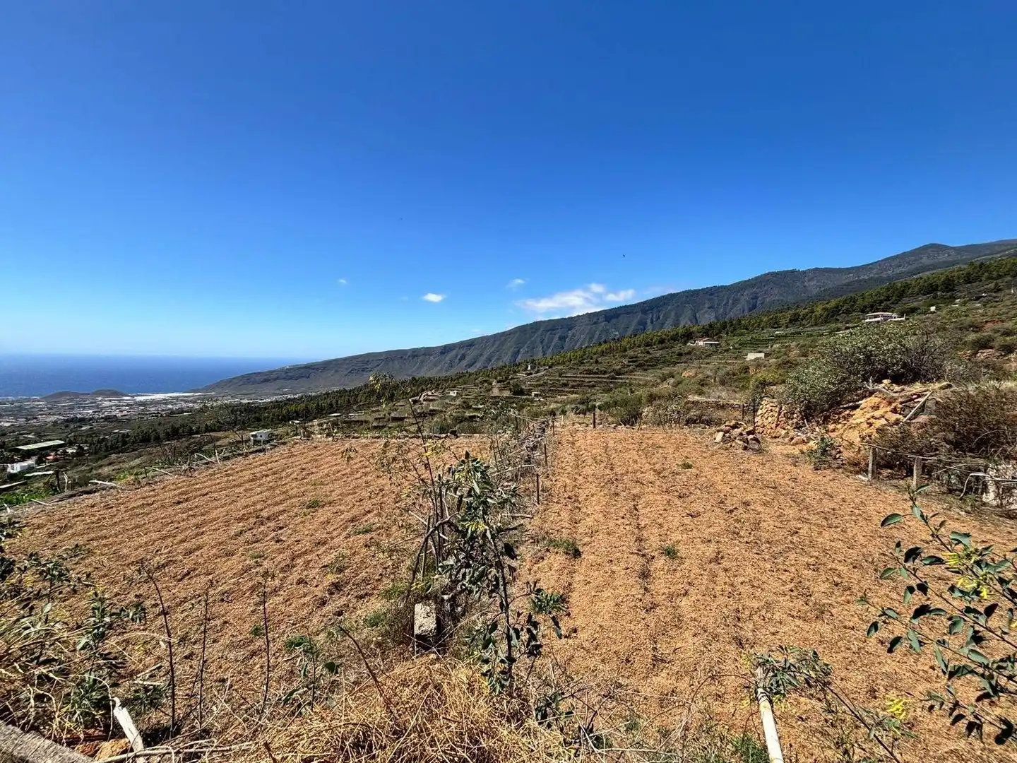 Rustikales Grundstück zum Verkauf in Polígono 1 Parcela 509 LAS CUESTAS. ARAFO (S.C. T 1, imagen 8