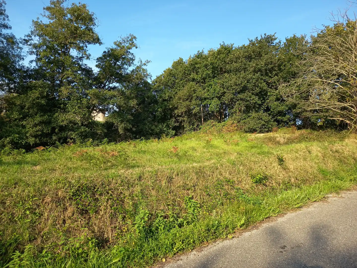 Rural land for sale in Lugar el Ponton, imagen 2