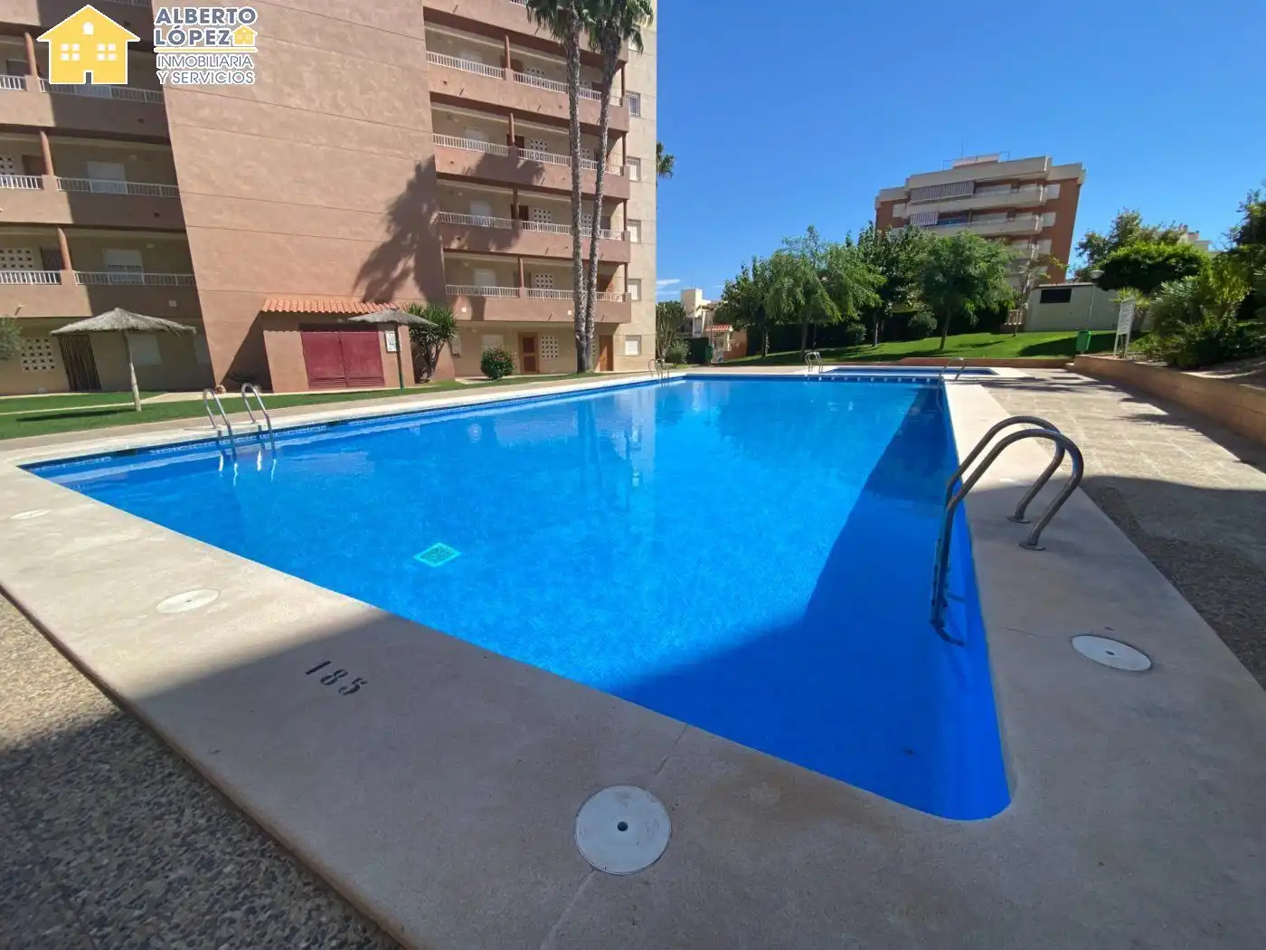 Piscina de Planta baixa de lloguer en Elche / Elx amb Aire condicionat, Terrassa i Moblat
