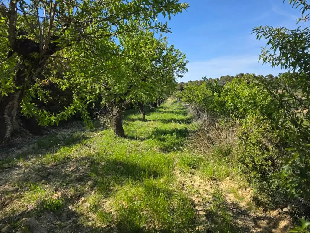 Terreno rustico in vendita a Caseres, imagen 6