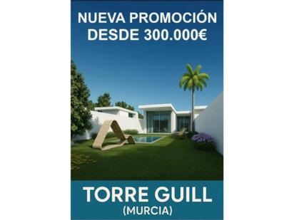Dúplex en venda en  Murcia Capital amb Aire condicionat, Calefacció i Jardí privat