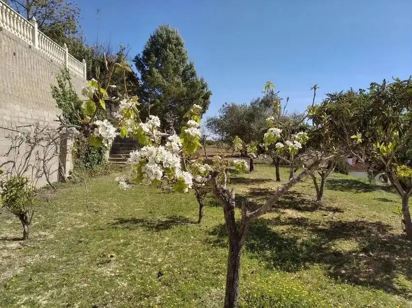Jardín de Casa o chalet en venta en Godelleta con Jardín privado, Terraza y Trastero