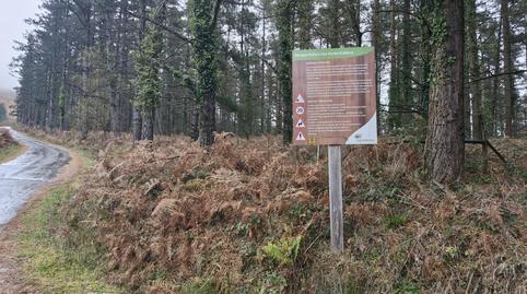 Photo 5 of House or chalet for sale in  Sarria, Berriz, Bizkaia