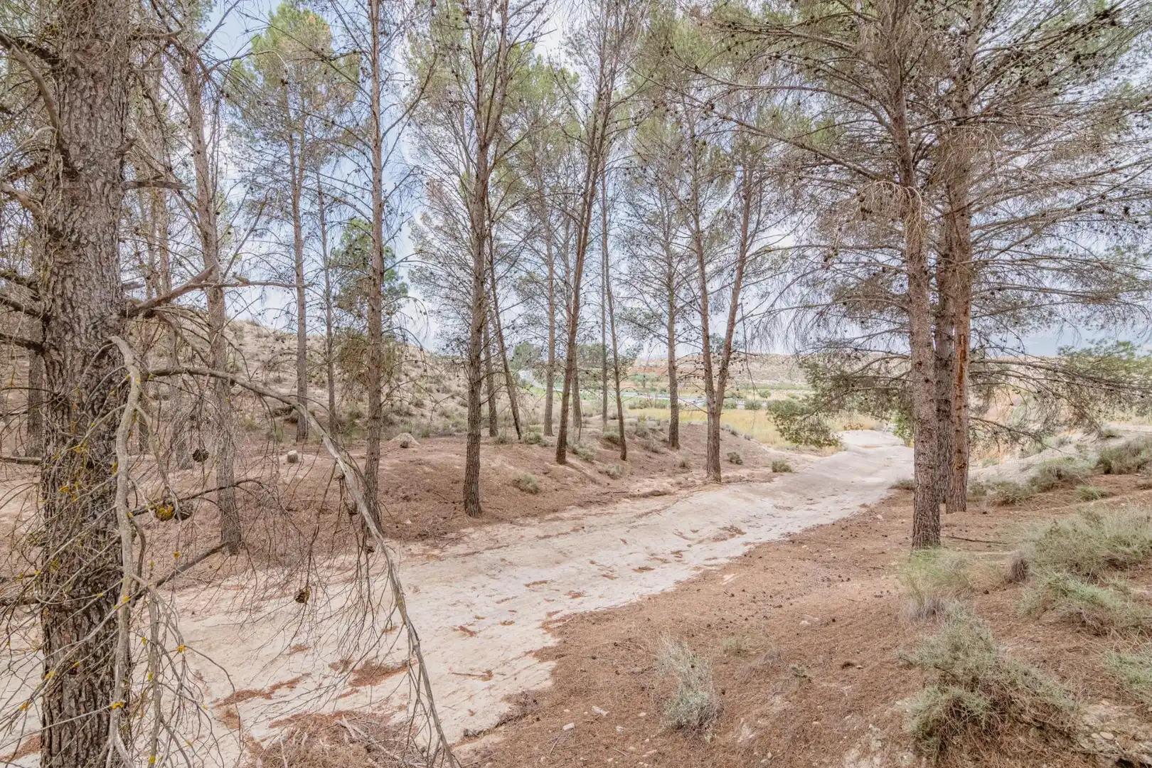 Apartament en venda a Baza, imagen 40