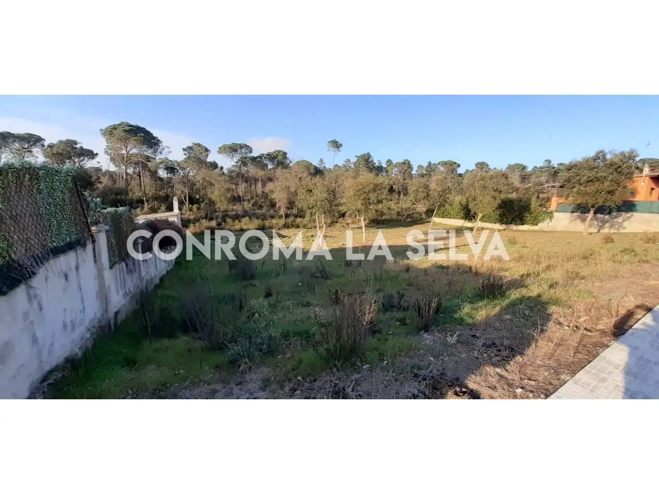 Rural land for sale in Sils, imagen 2