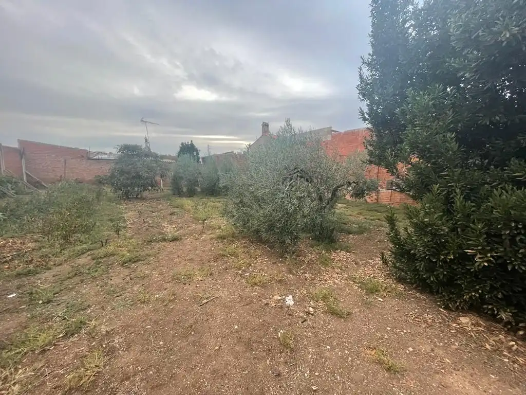 Terreni e lotti in vendita a Calle Gregorio de Salas 15, imagen 2