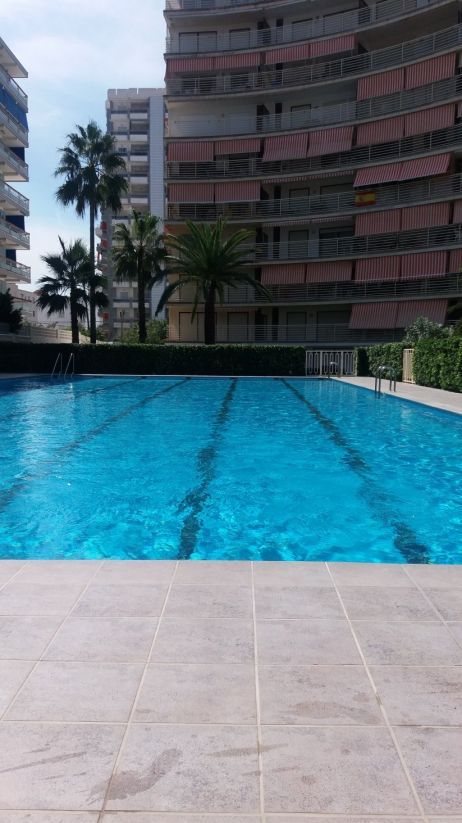Piscina de Apartament en venda en Gandia amb Jardí privat, Alarma i Piscina comunitària