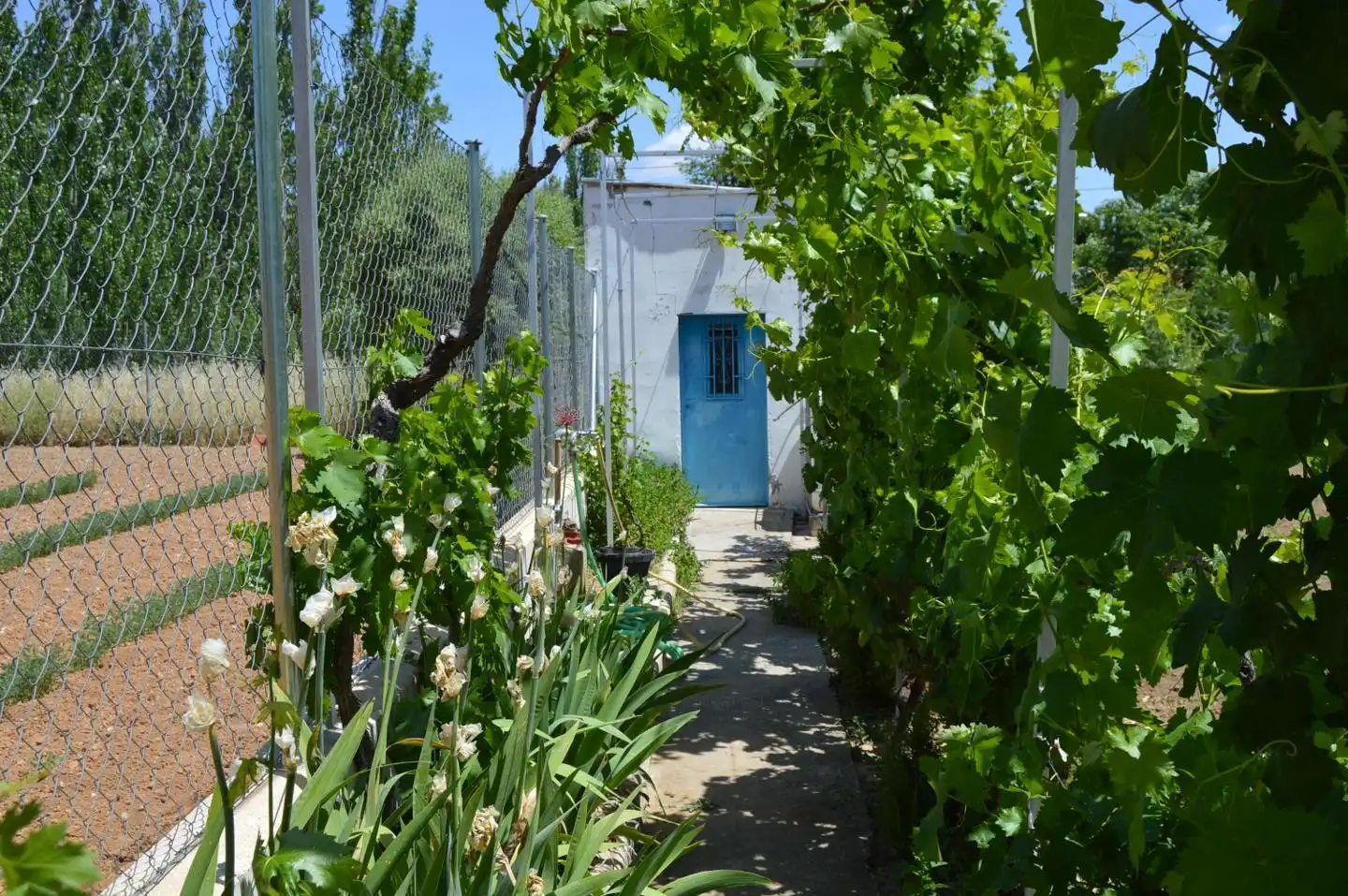 Casa o xalet en venda a LAS CARMELITAS, Tarancón