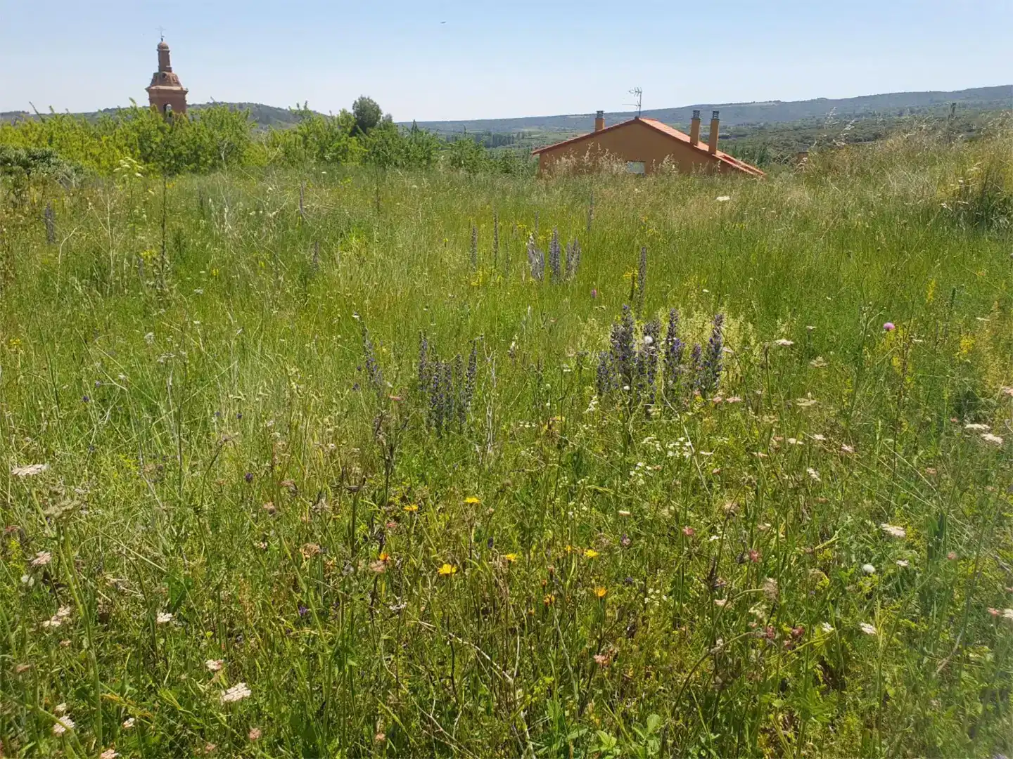 Land for sale in Ocón