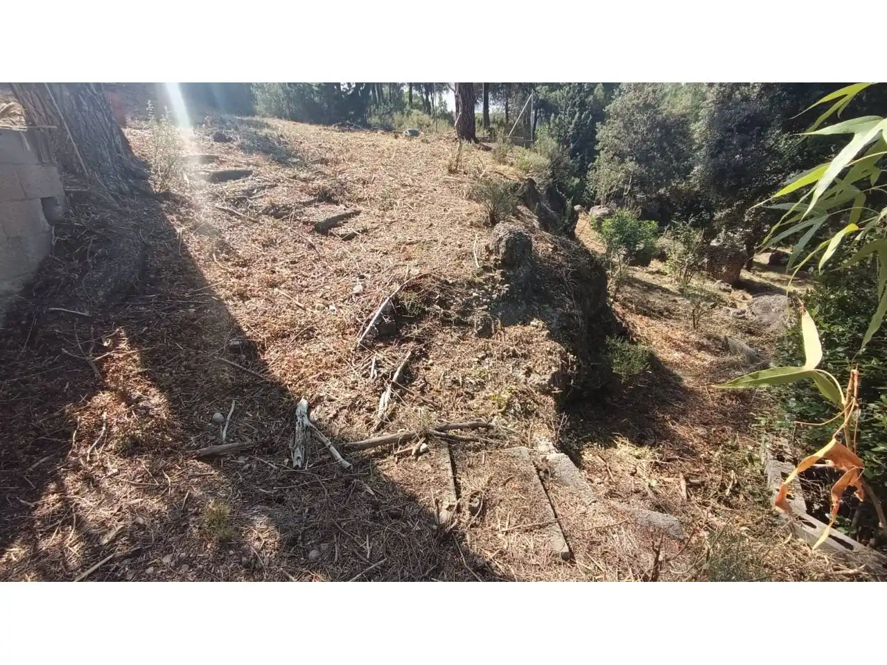Rural land for sale in Vacarisses, imagen 31