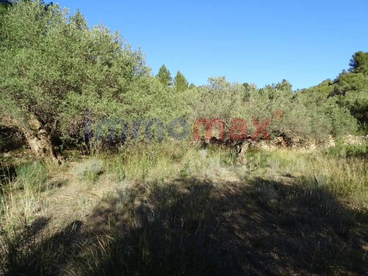 Terrain résidentiel à vendre à Xerta, imagen 14