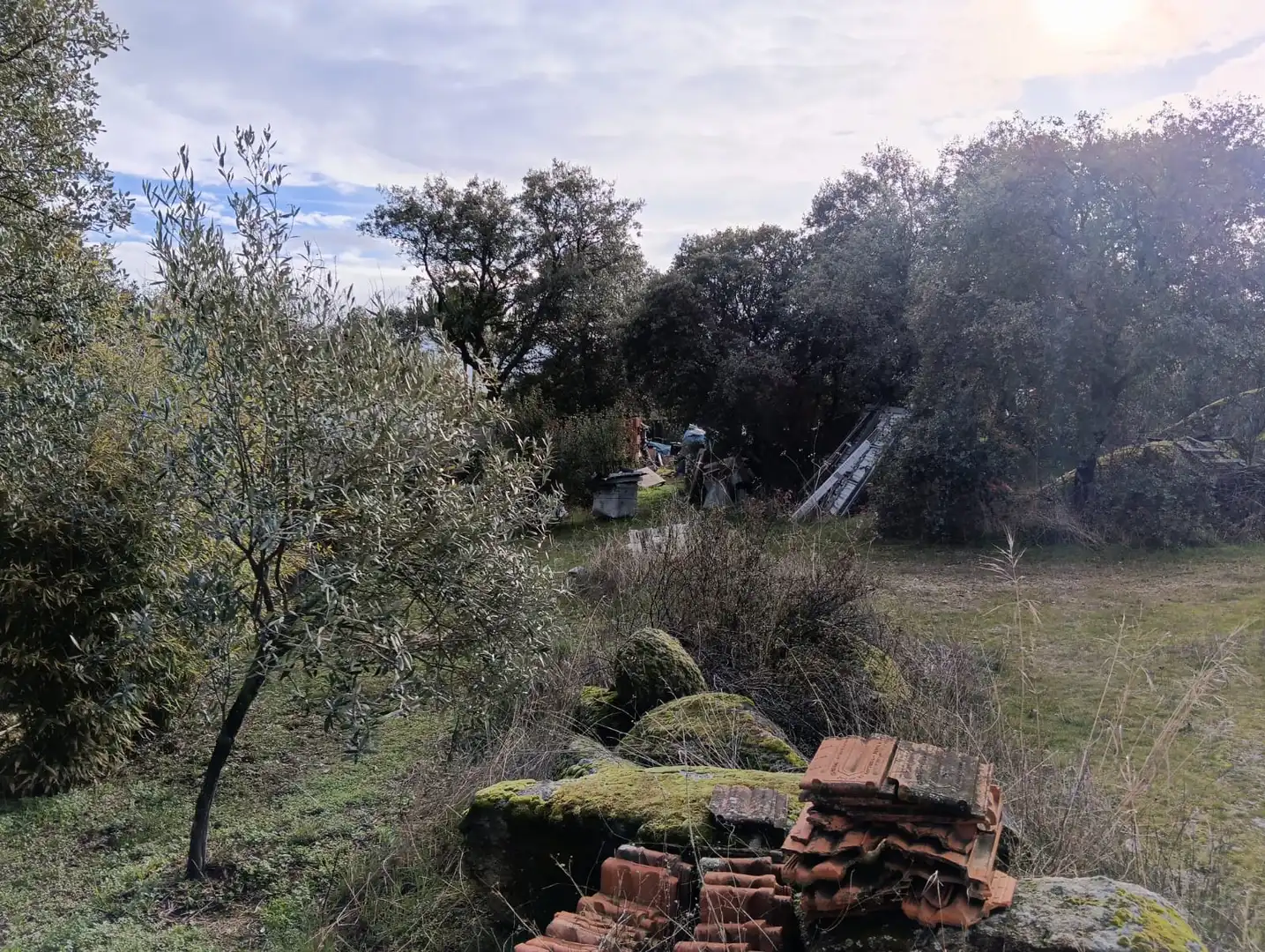 Jardí de Casa o xalet en venda en Valdemorillo